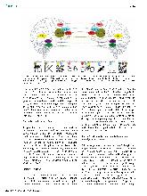 Vorschauseite 6: Das soziale Gehirn - 1. Evolution, funktionelle Komponenten, neuronale Implementierung