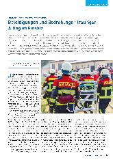 Vorschauseite 1: Beleidigungen und Bedrohungen trauriger Alltag im Einsatz