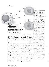 Vorschauseite 1: Filigranes Zusammenspiel