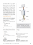 Vorschauseite 2: Spinalund Periduralanästhesie