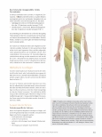 Vorschauseite 4: Spinalund Periduralanästhesie