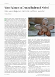 Vorschauseite 1: Vom Fahren in Dunkelheit und Nebel oder warum Begleiten manchmal Nichtstun bedeutet
