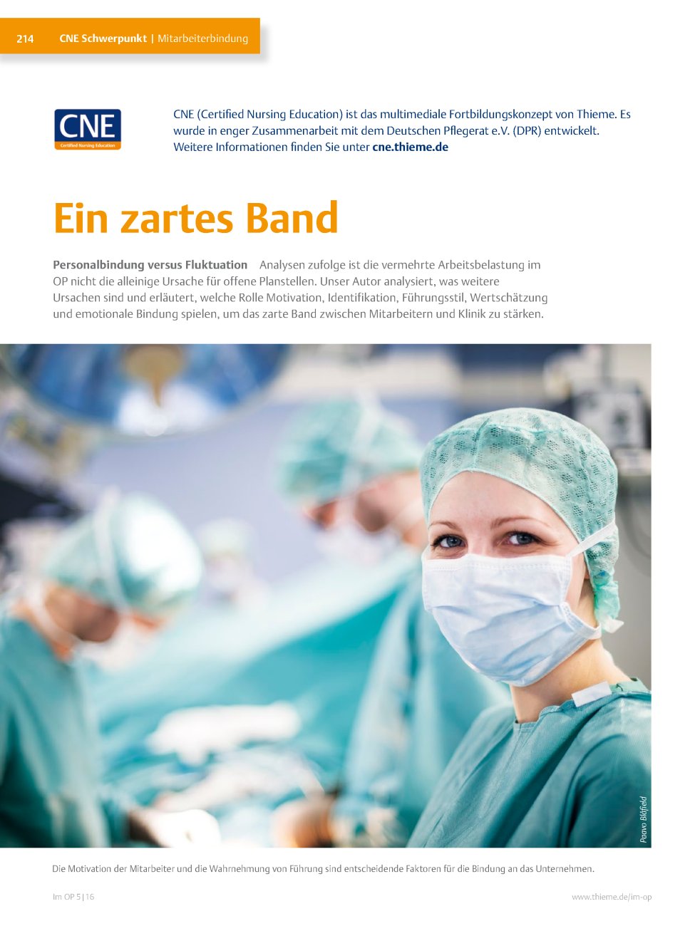 Vorschauseite 1: Ein zartes Band