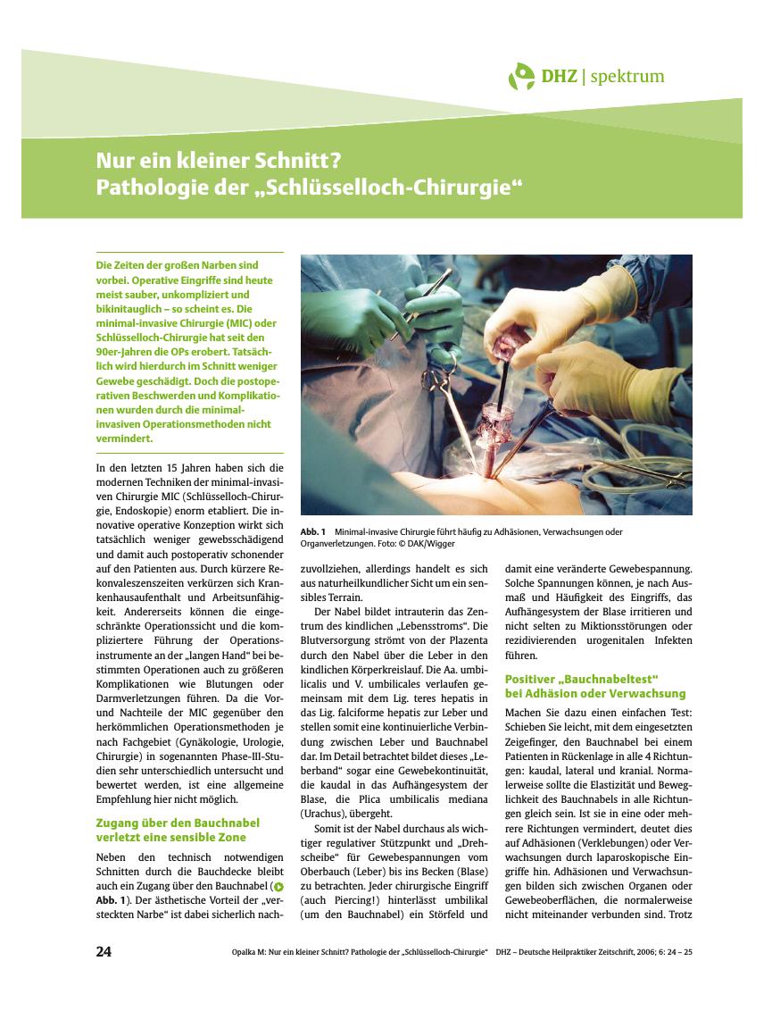 Vorschauseite 1: Nur ein kleiner Schnitt? Pathologie der „Schlüsselloch-Chirurgie”