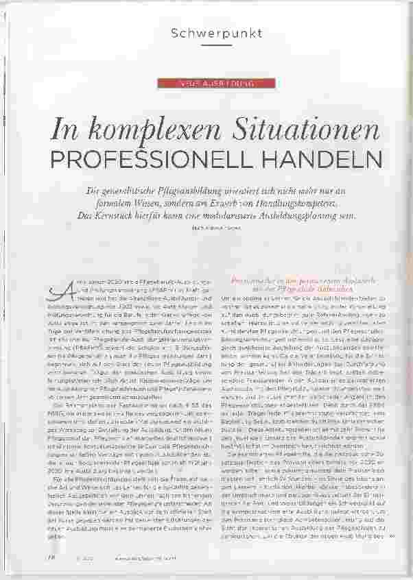 Vorschauseite 1: In komplexen Situationen PROFESSIONELL HANDELN