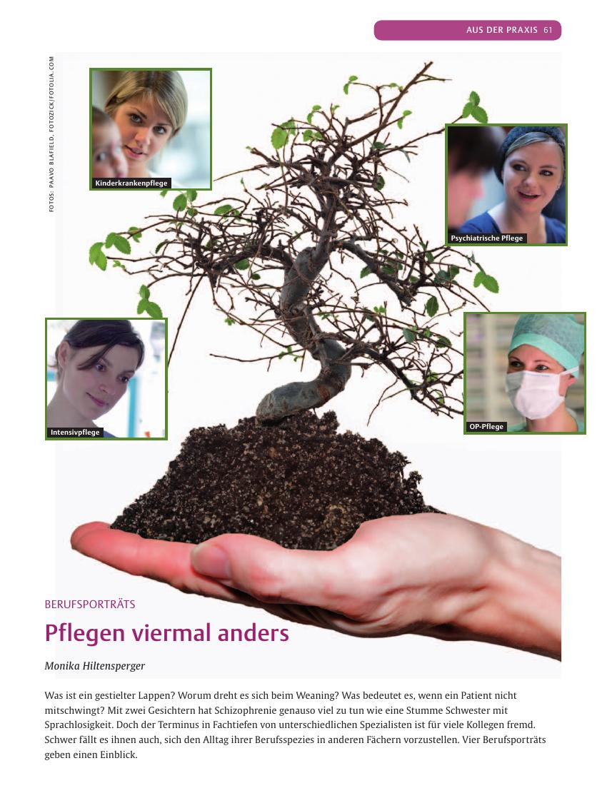 Vorschauseite 1: Pflegen viermal anders