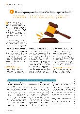 Vorschauseite 1: Kündigungsschutz bei Schwangerschaft