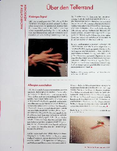 Vorschauseite 1: Über den Tellerrand