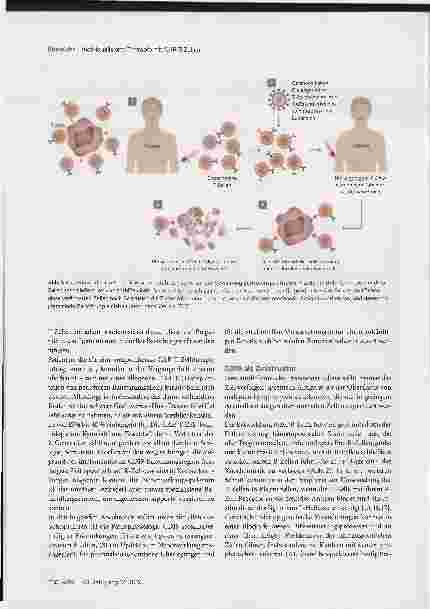Vorschauseite 2: CAR-T-Zellen zur individualisierten Therapie rezidivierender oder refraktärer Lymphome und Leukämien. Aktueller Stand und Perspektiven