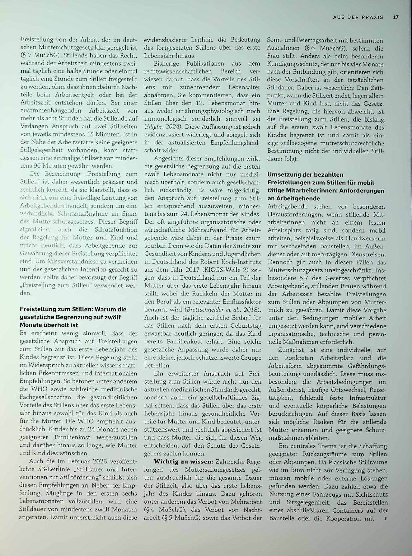 Vorschauseite 3: Stillen im Beruf: Umsetzung, Herausforderungen und Perspektiven im Rahmen des Mutterschutzgesetzes in der Bundesrepublik Deutschland