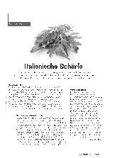 Vorschauseite 1: Italienische Schärfe