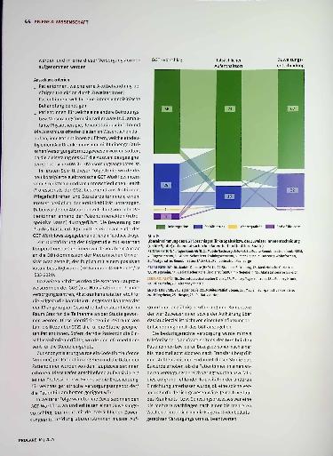 Vorschauseite 4: Grazer Geriatrie Tool Assessment zur Einschätzung des Versorgungsbedarfs geriatrischer und chronisch kranker Patienten.