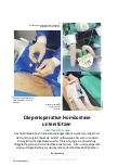 Vorschauseite 1: Die perioperative Homöostase unterstützen