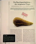 Vorschauseite 1: Die Bauchspeicheldrüse - das vergessene Organ