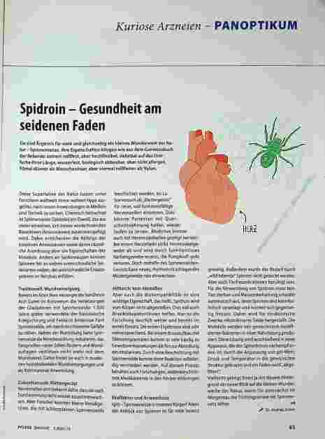 Vorschauseite 1: Spidroin - Gesundheit am seidenen Faden