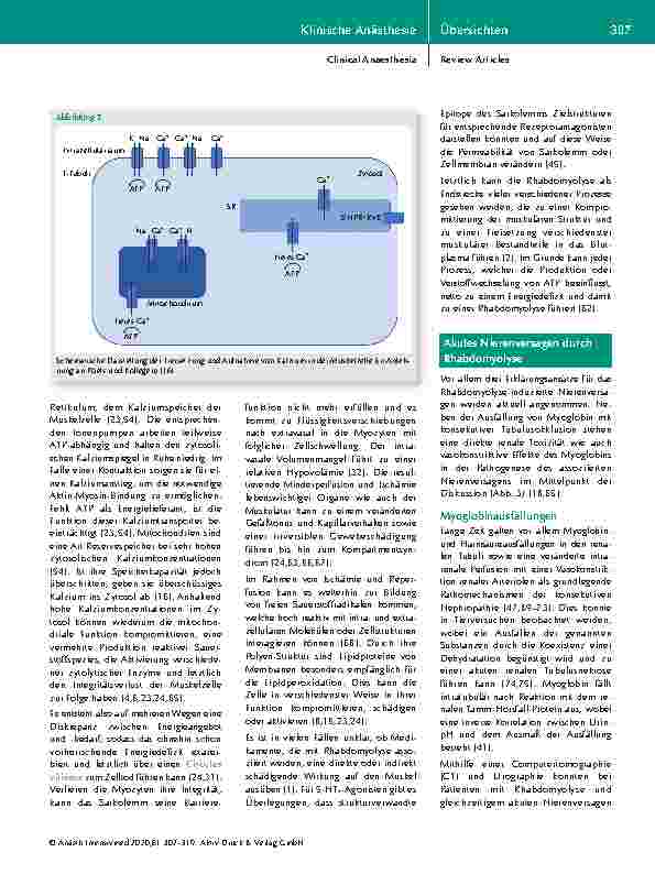 Vorschauseite 6: Rhabdomyolyse: Ein Überblick zur Pathophysiologie, Diagnostik und Therapie