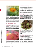 Vorschauseite 4: Gartentherapie in der Arbeit mit Kindern und Jugendlichen