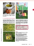 Vorschauseite 5: Gartentherapie in der Arbeit mit Kindern und Jugendlichen