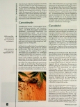 Vorschauseite 2: Cannabinoide in der Medizin