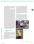 Vorschauseite 2: Gemeinsam den Wald entdecken - ein Generationenprojekt
