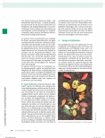 Vorschauseite 3: Gemeinsam den Wald entdecken - ein Generationenprojekt
