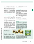 Vorschauseite 4: Gemeinsam den Wald entdecken - ein Generationenprojekt