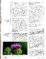 Vorschauseite 2: Frisch von der Leber: