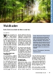 Vorschauseite 1: Waldbaden: Reha-Ziele in und mit der Natur erreichen