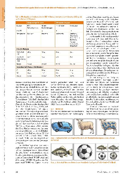 Vorschauseite 5: Spracherwerb bilingualer Schulkinder: Verständnis und Produktion von Komposita