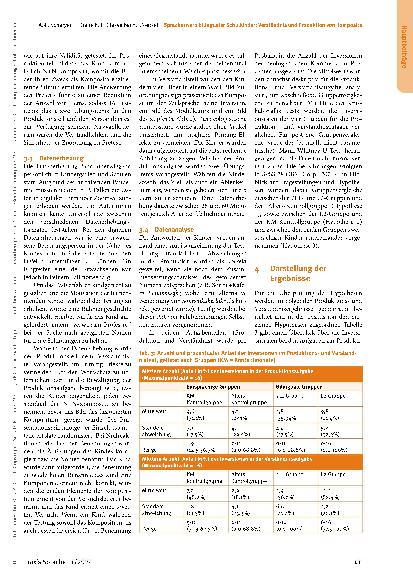 Vorschauseite 6: Spracherwerb bilingualer Schulkinder: Verständnis und Produktion von Komposita