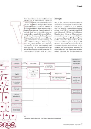 Vorschauseite 2: Aktuelles Wissen zur Inkontinenz-assoziierten Dermatitis