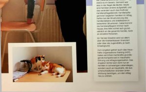 Vorschauseite 3: 90 Minuten gegen das Chaos: Wo Hilfe den Unterschied macht