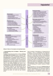 Vorschauseite 5: Prioritäre Themen für die Forschung durch Hebammen: Eine Analyse von Fokusgruppen mit schwangeren Frauen, Müttern und Hebammen