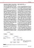Vorschauseite 4: Neuromythen: Welche Relevanz haben Fehlvorstellungen über das Gehirn für Schule und Unterricht?