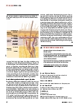 Vorschauseite 3: Strapazierte Haut schützen