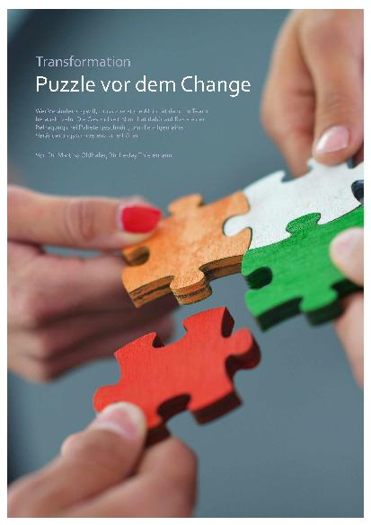 Vorschauseite 1: Transformation Puzzle vor dem Change