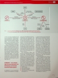 Vorschauseite 3: Digitalisierung voraus!