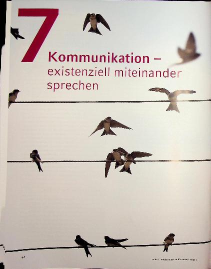 Vorschauseite 1: Palliativmedizin ist Beziehungsmedizin. Das existenzielle Gespräch.
