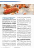 Vorschauseite 1: Auf der Suche nach Bakteriencocktails zur Bekämpfung von Infektionen.