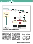 Vorschauseite 4: Das kindliche Polytrauma – neue Leitlinie