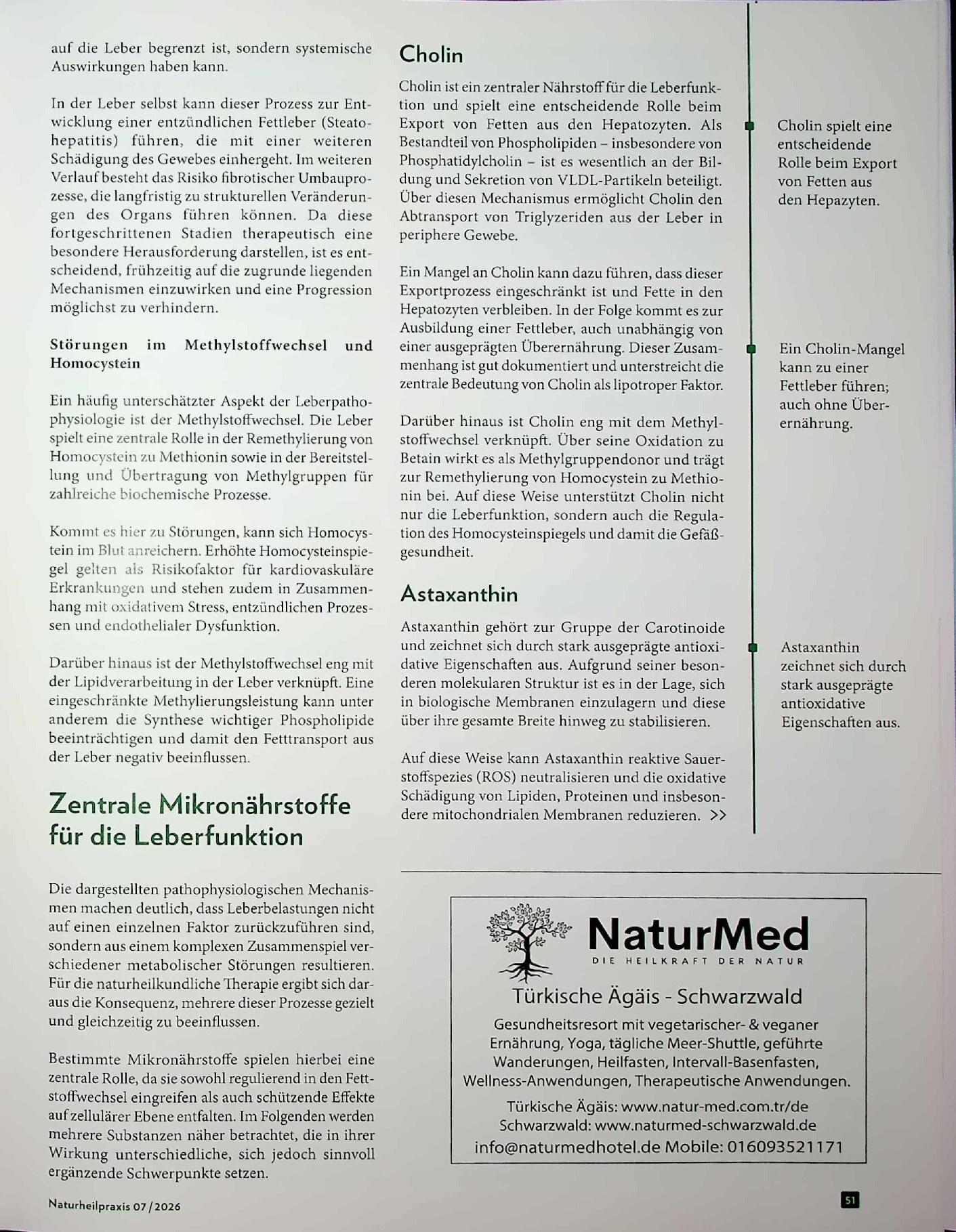 Vorschauseite 2: Die stille Krise. Mikronährstoffe gegen eine belastete Leber