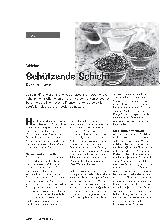 Vorschauseite 1: Schleimstoffe Schützende Schicht