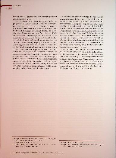 Vorschauseite 4: Die Trias der Pflegebegutachtung: Pflegebedarfsfeststellung, Pflegequalität und Pflegestandards