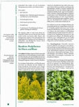 Vorschauseite 2: Harnwegsinfekte: Traditionelle Pflanzen für Harnblase, Harnleiter und Nierenbecken