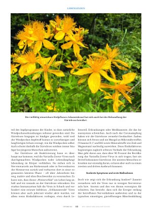 Vorschauseite 3: Gürtelrose integrativ behandeln