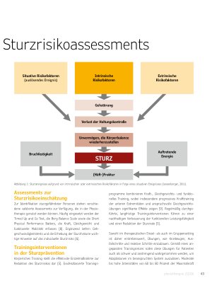 Vorschauseite 2: Sturzprävention im Alter: Bedeutung von Risikofaktoren, und Trainingsinterventionen