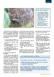 Vorschauseite 3: Tierische Gefahren: Vom stampfenden Bullen bis zur haarigen Raupe