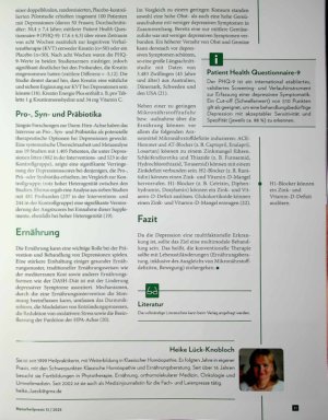 Vorschauseite 4: Seele stärken Aktuelle Forschungsarbeiten zu Depressionen