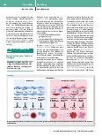 Vorschauseite 3: Perioperative Organdysfunktionen und Outcome – das Endothel im Fokus