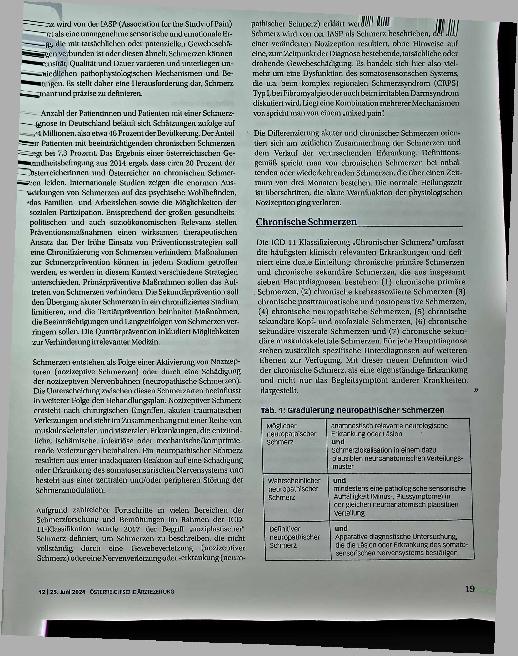 Vorschauseite 2: Schmerz - eine Herausforderung
